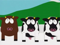 GIORNI DA MUCCA