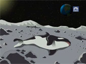 FREE WILLZYX
